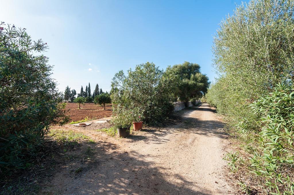 Villa Son Xorc Campos  Exterior foto